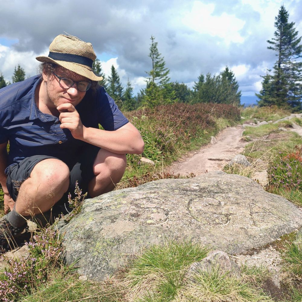 Wildverzweigte Erweiterung