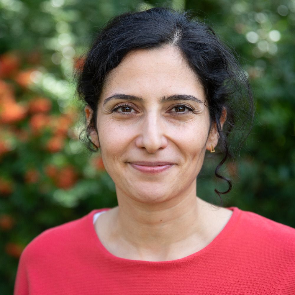 Bahar Haghanipour, MdA