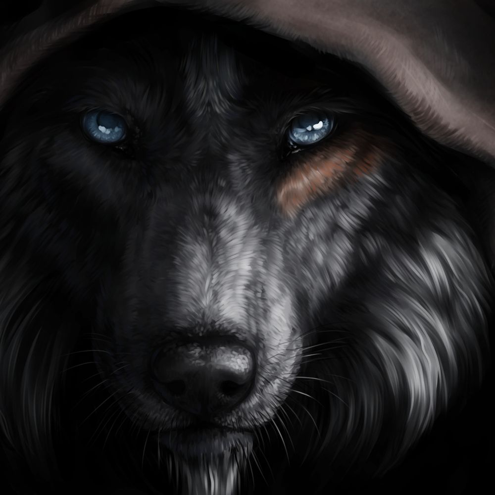 Wulfer Gaming 19