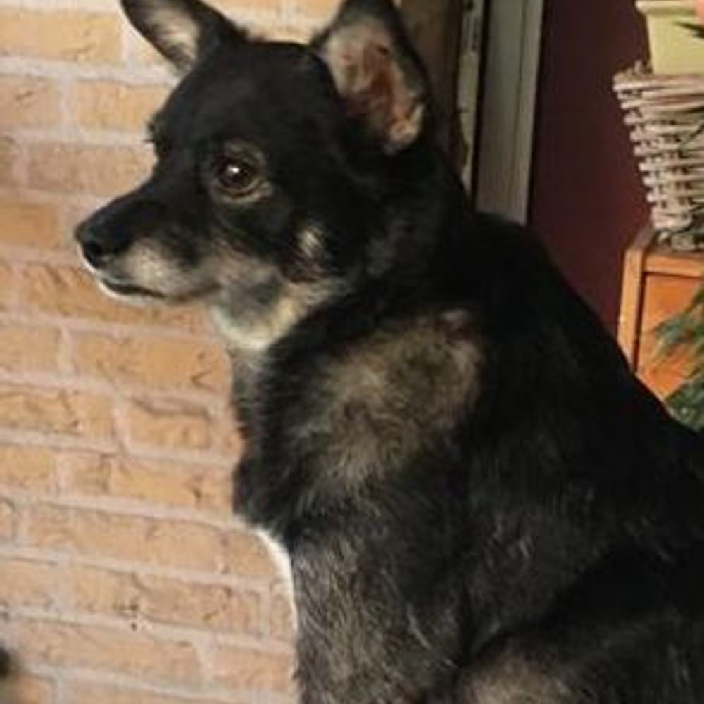 KarenLA
