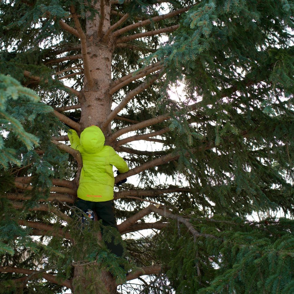 Small Forest School