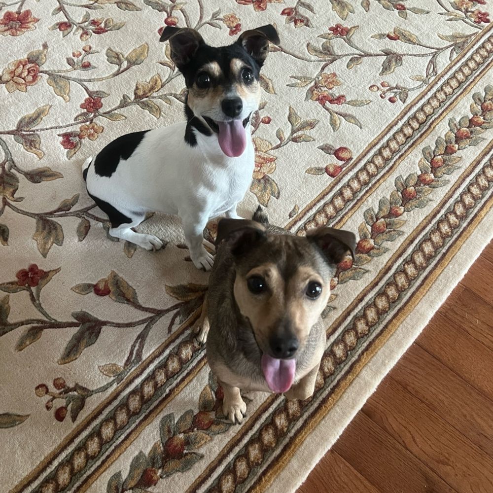 JRT Fan