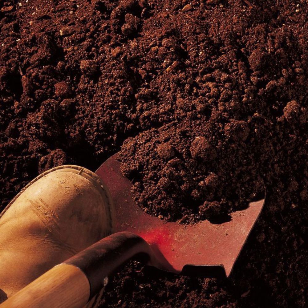 Mr. Dirt
