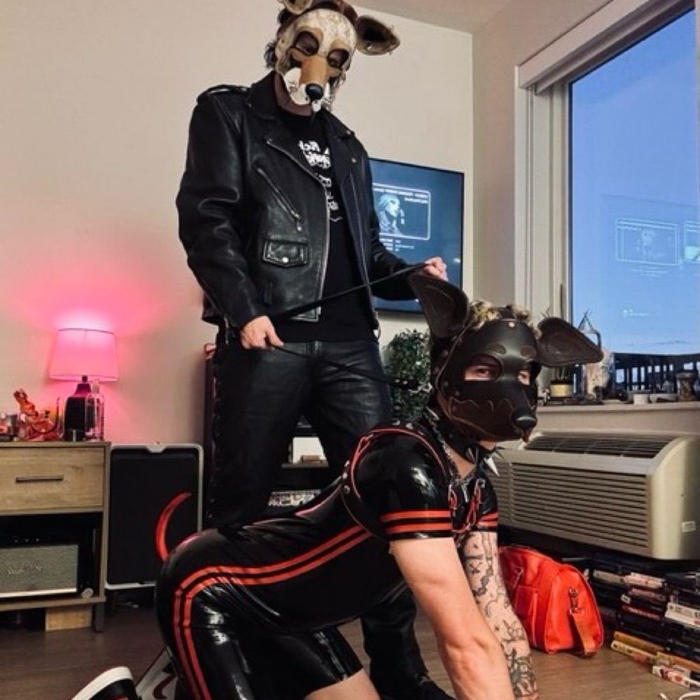 Pup riot 🐺