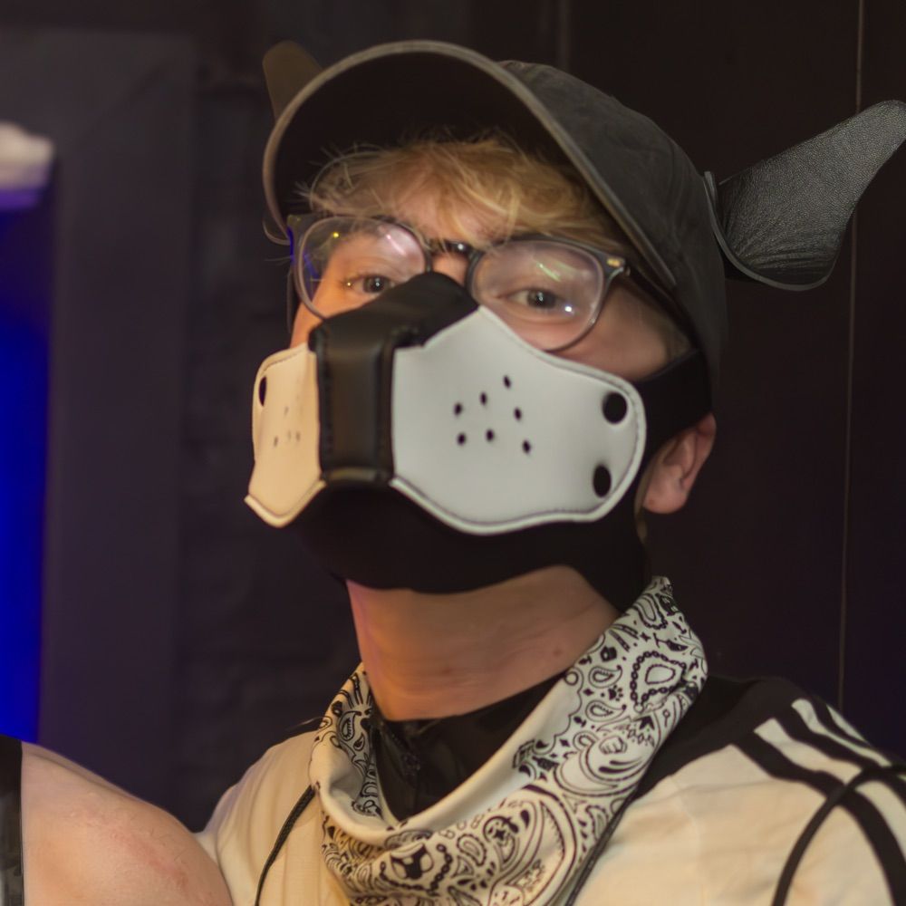 Pup Sammy🔜Easter Berlin