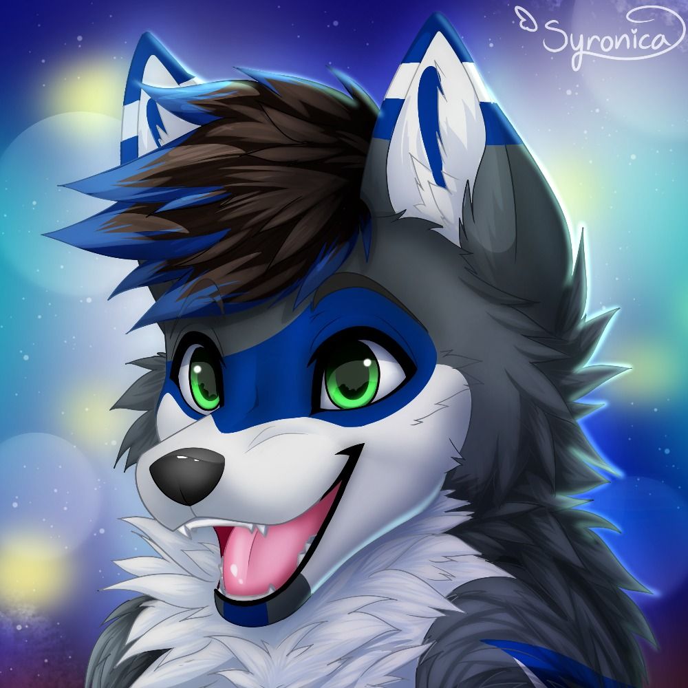 🐺 'Arlo' The Floofy Folf 🦊