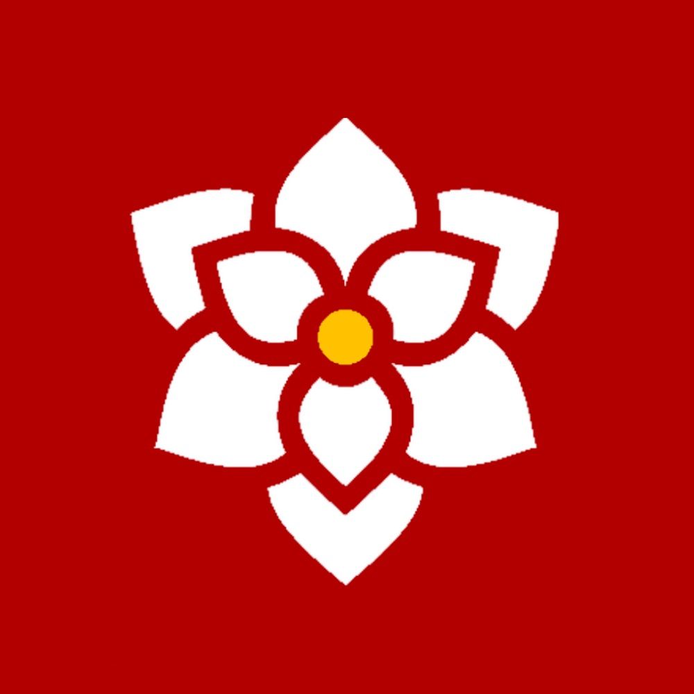 Þe Dixie Marxist