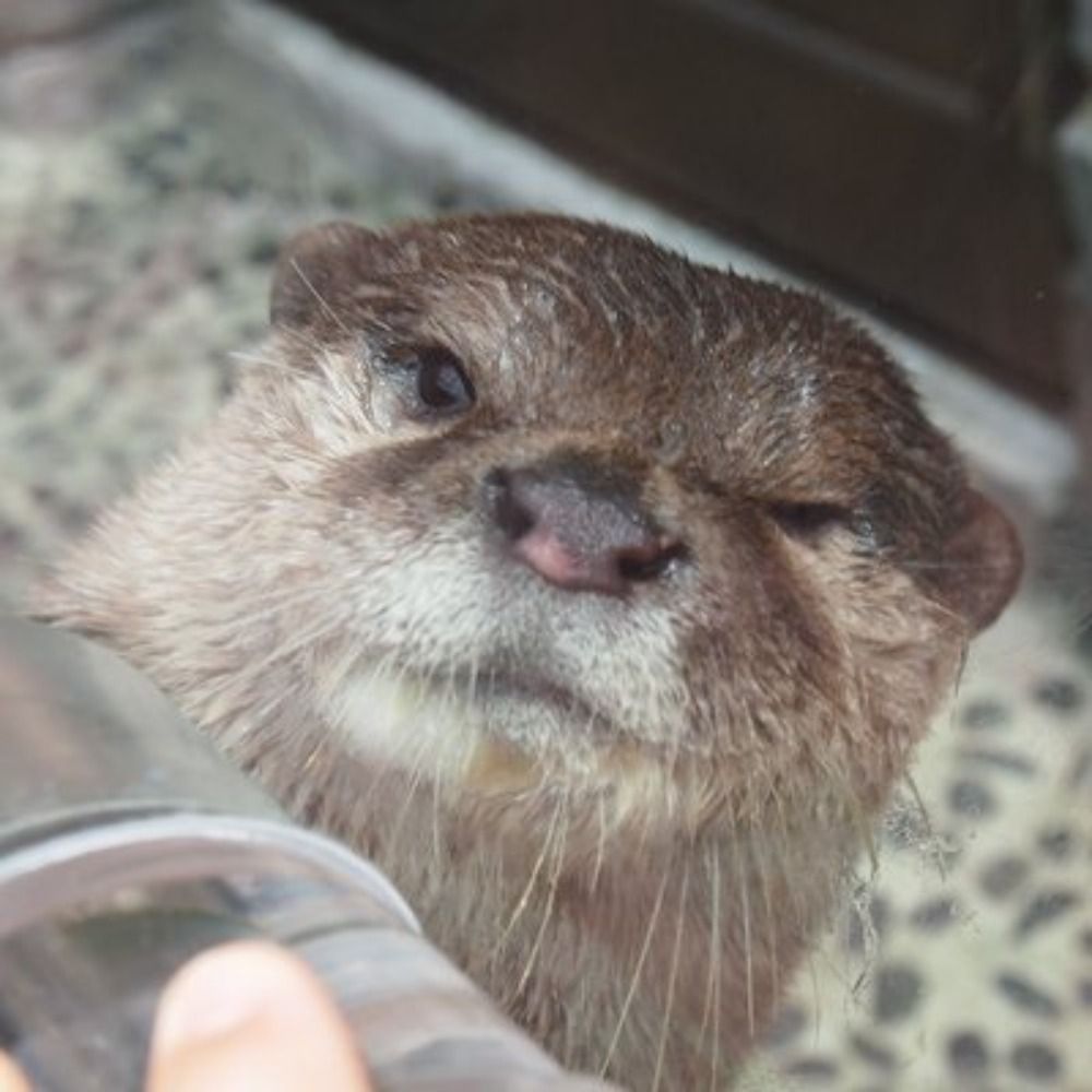 ゼロきち