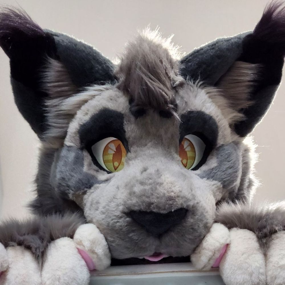 Bram Cat