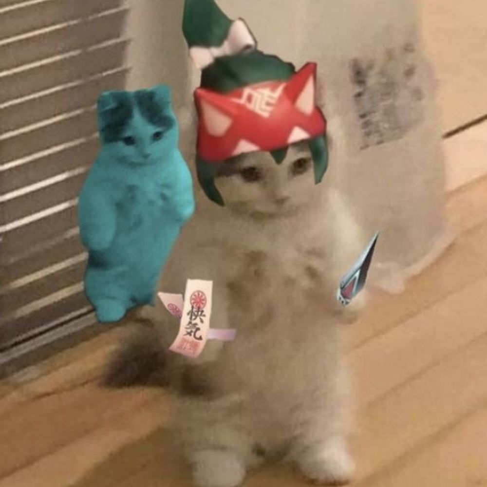 dw