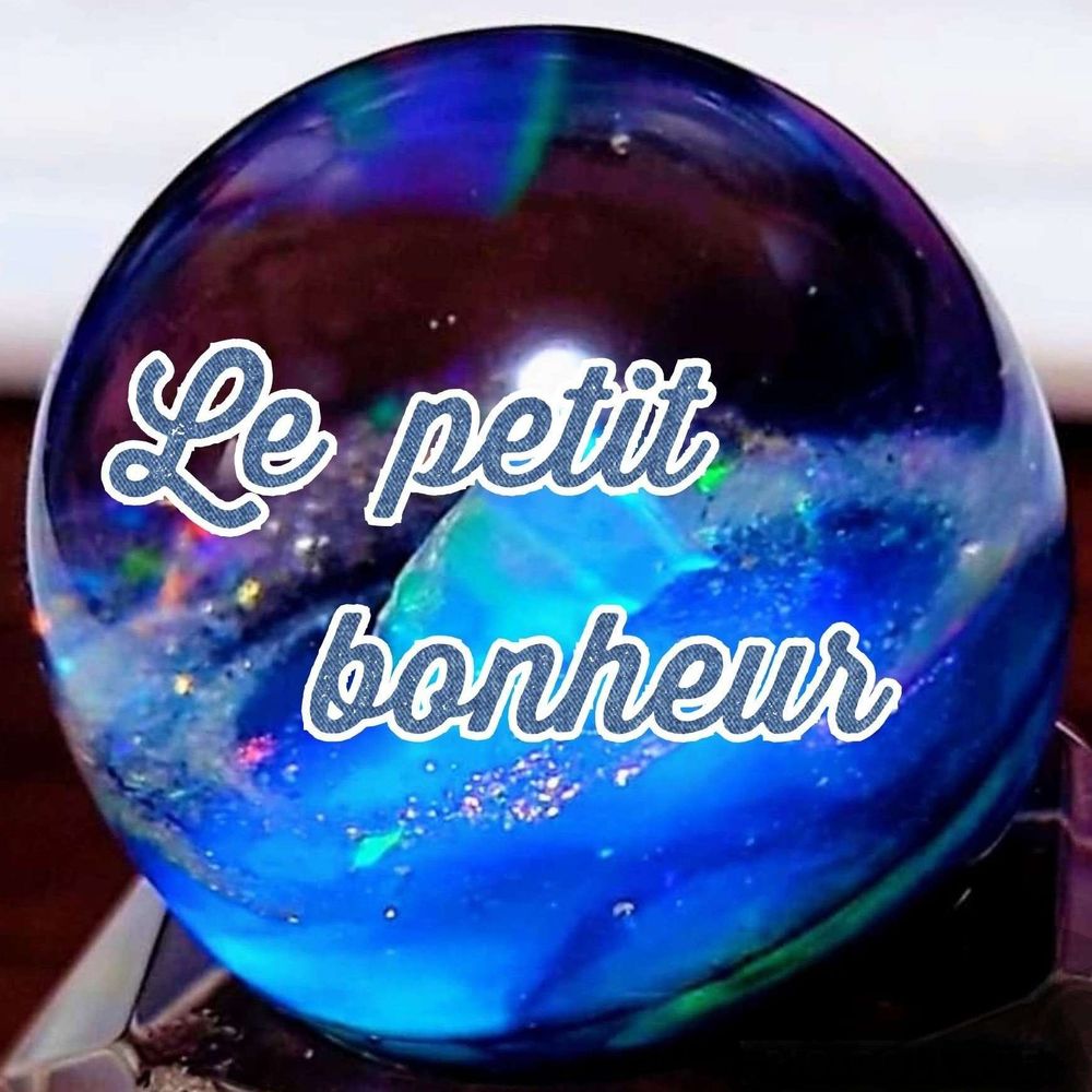 シエル❁⃘*.ﾟLe petit bonheur
