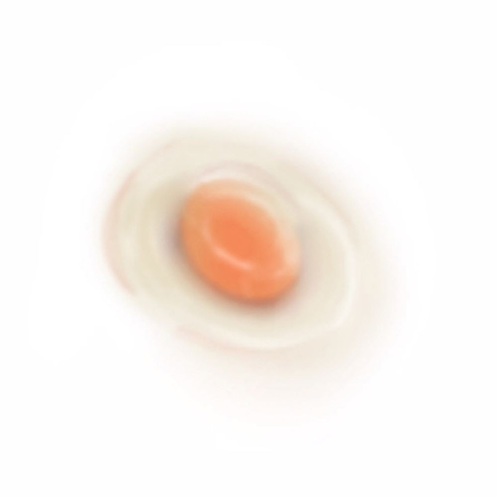 たまごのきみ