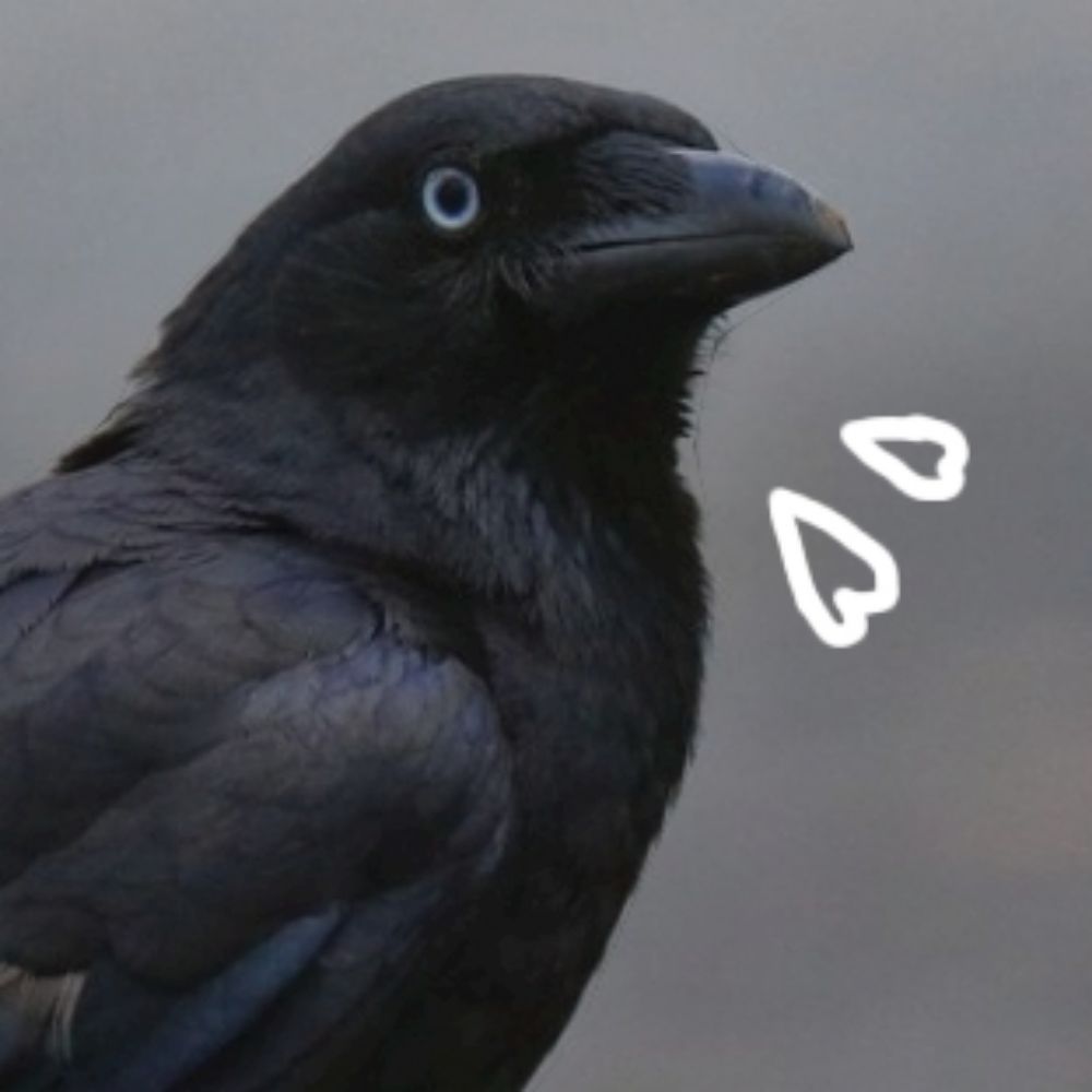 EbiCrows
