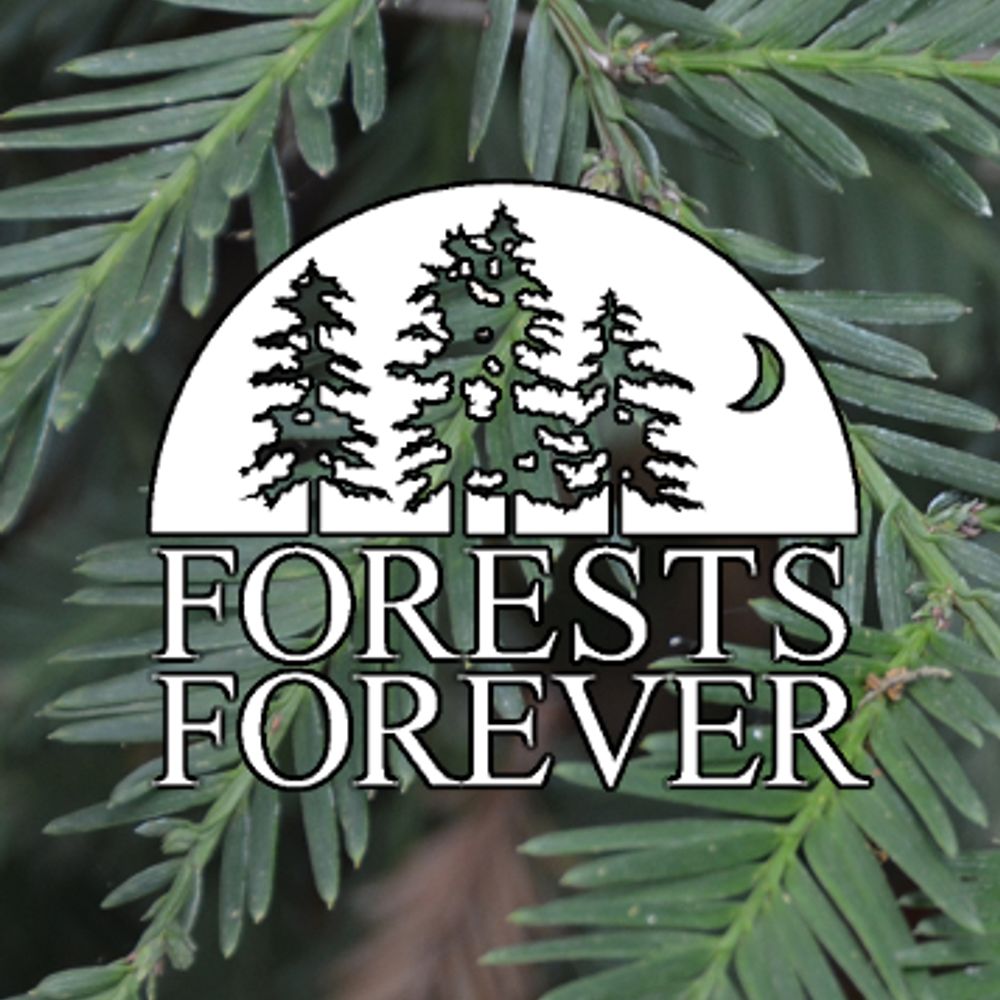 Forests Forever