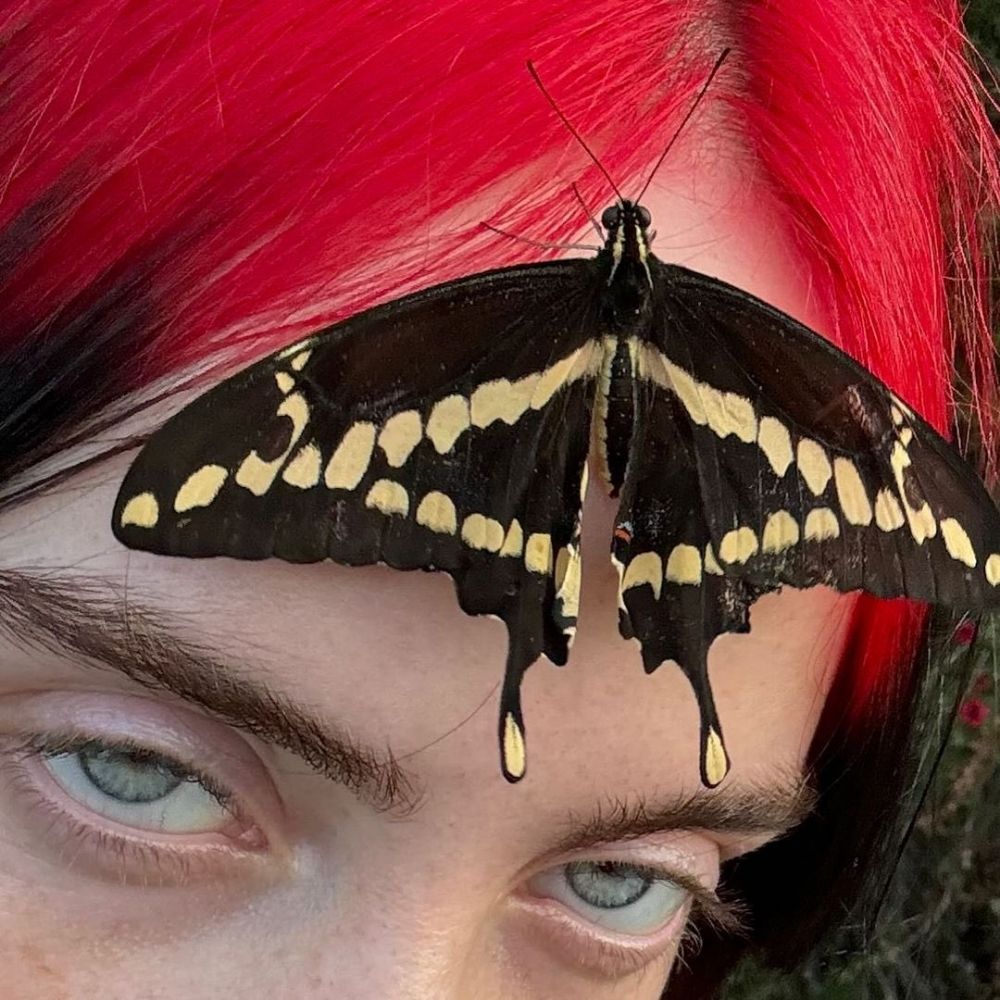 n¡ck