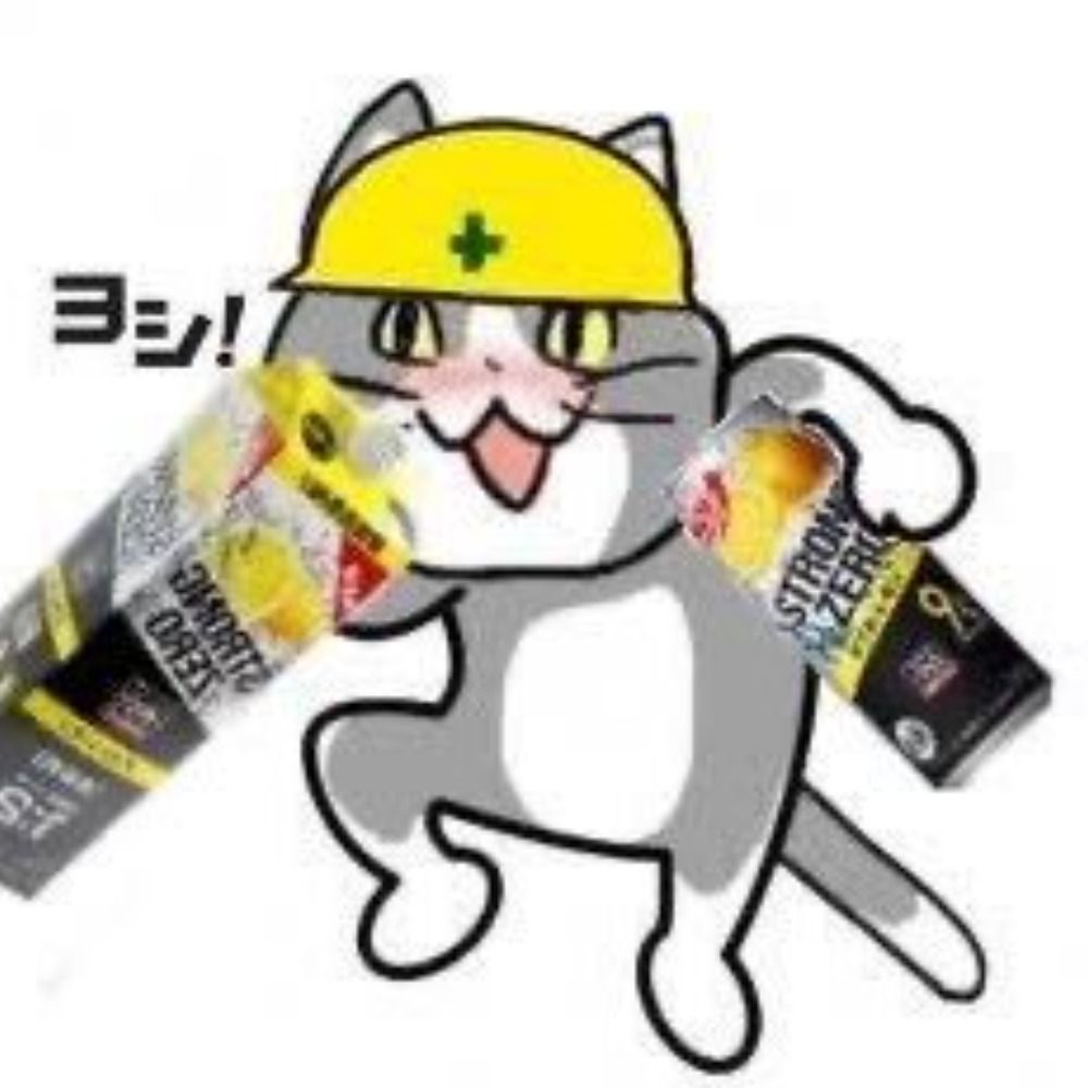 デブ乃山親方
