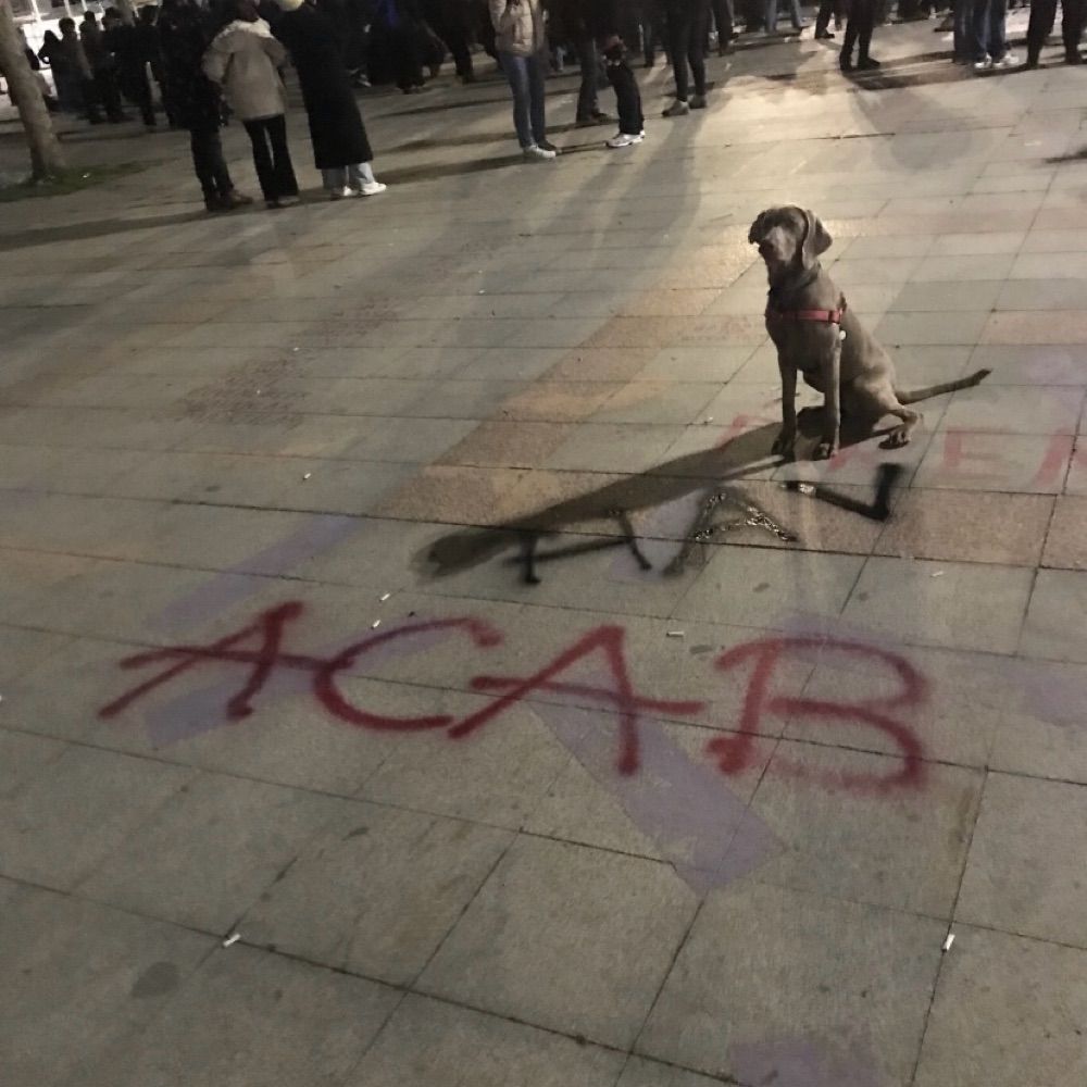 Sarı terör
