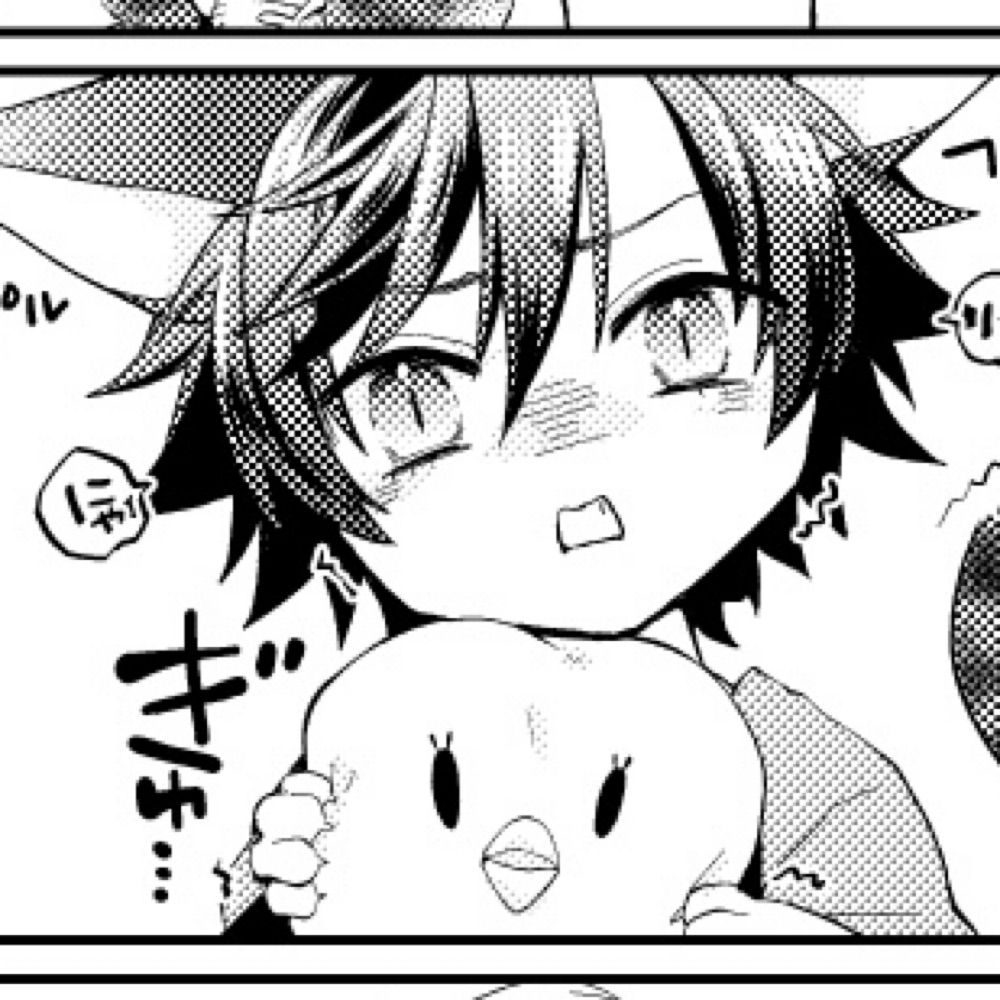 九日