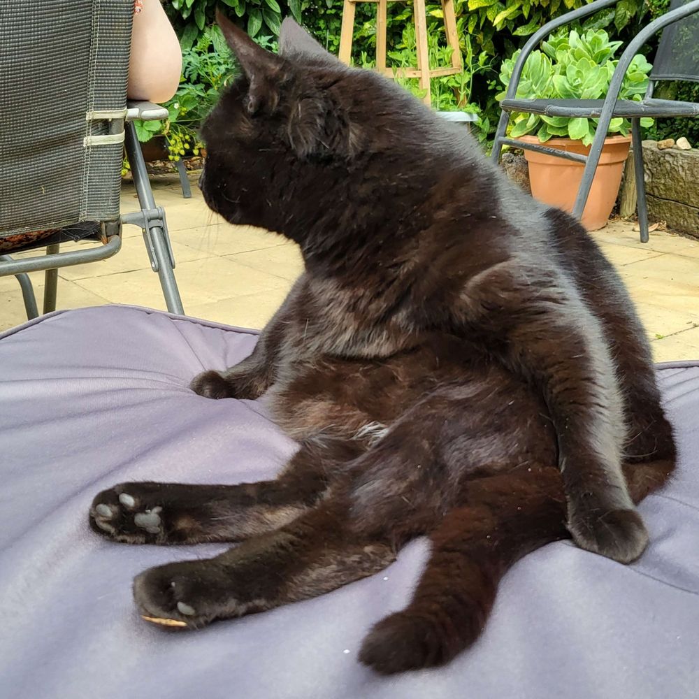 Brötchen 