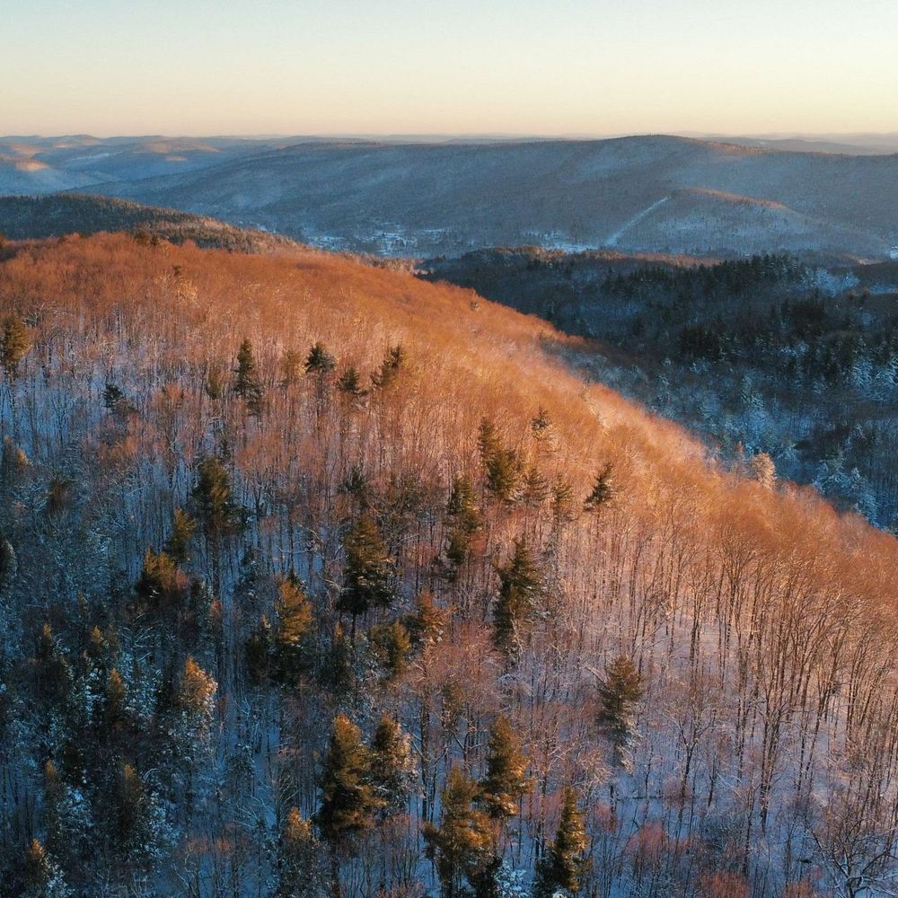 Woodlands Partnership of Northwest Massachusetts 