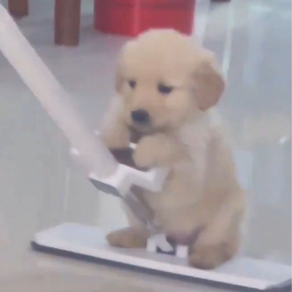 ㅎ ㅡ ㅎ
