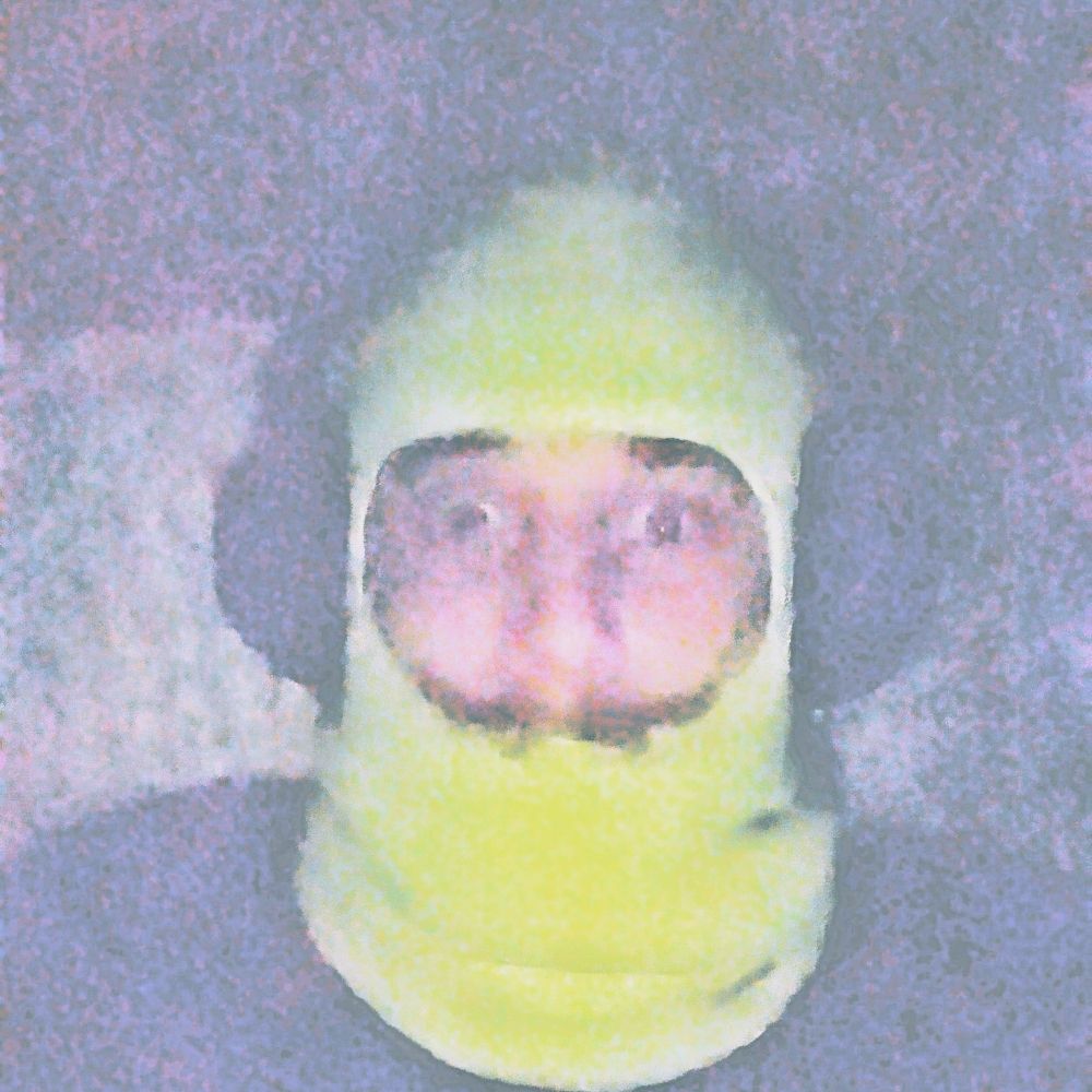 Pat