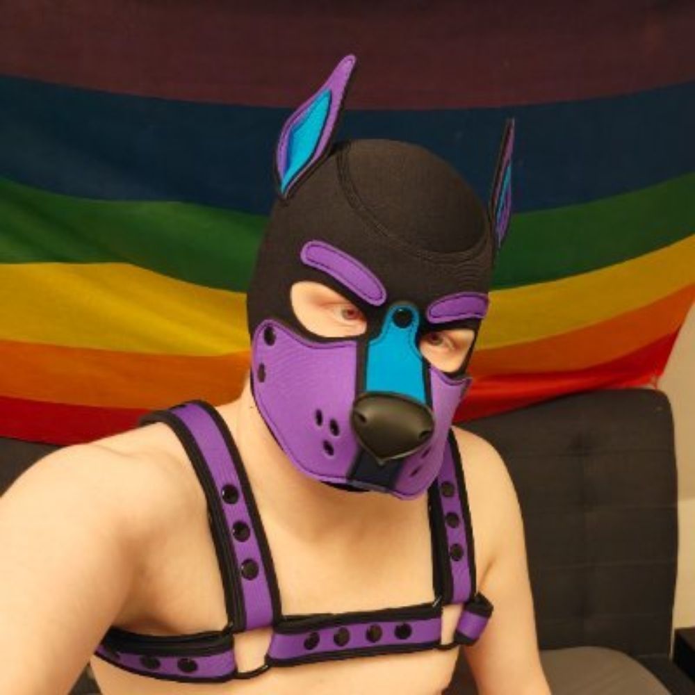 Meta Pup