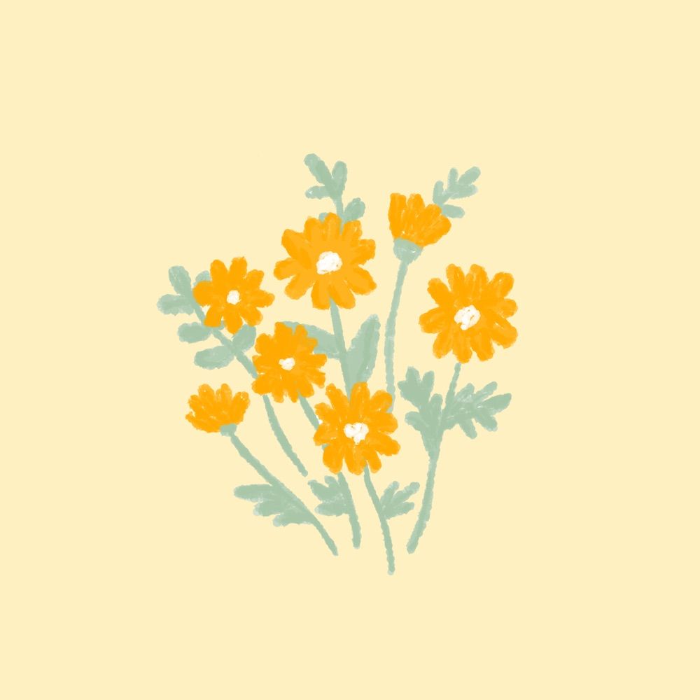 ぷらんたん🌼