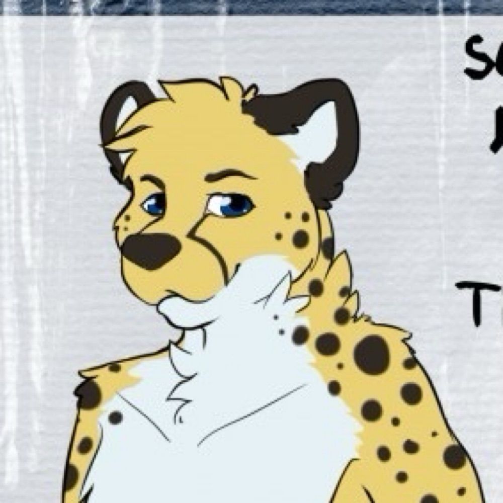 Sci Cheetah