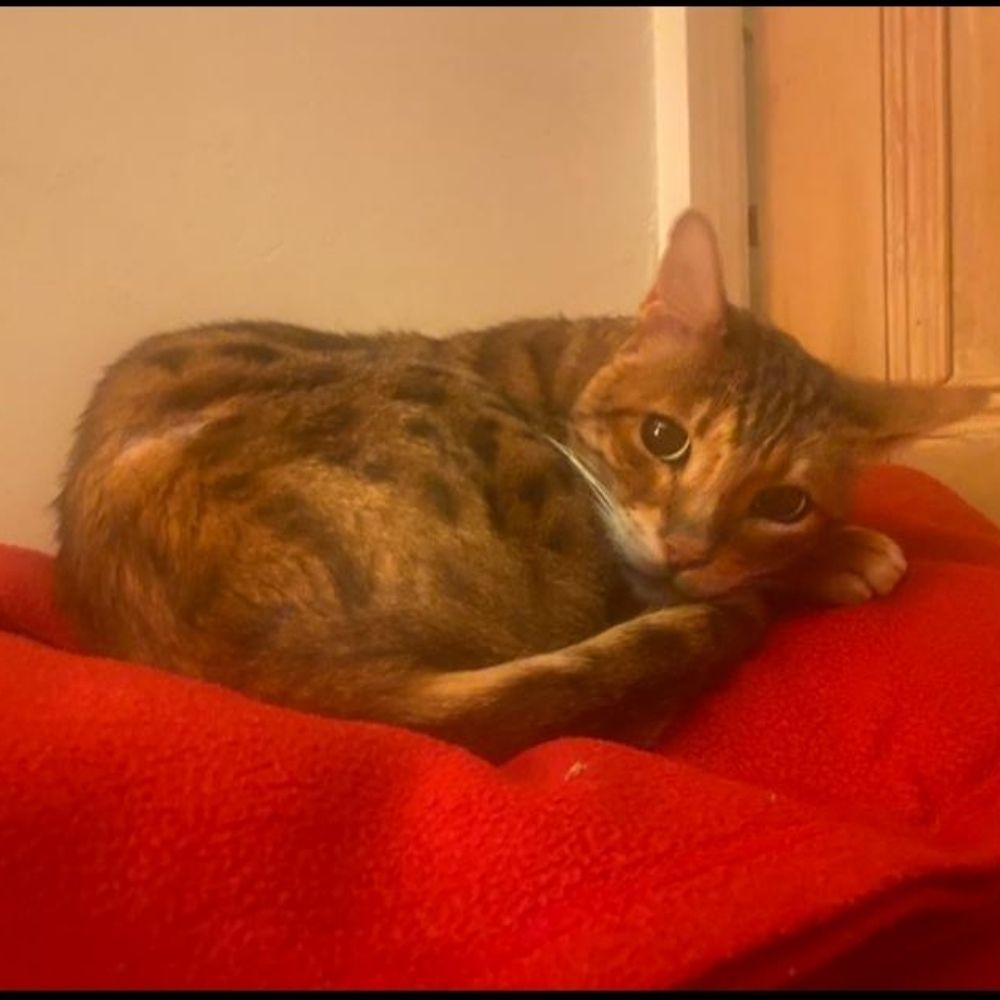 Sam
