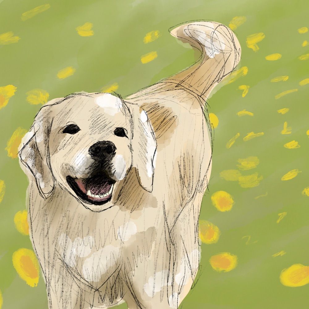 Myd Art