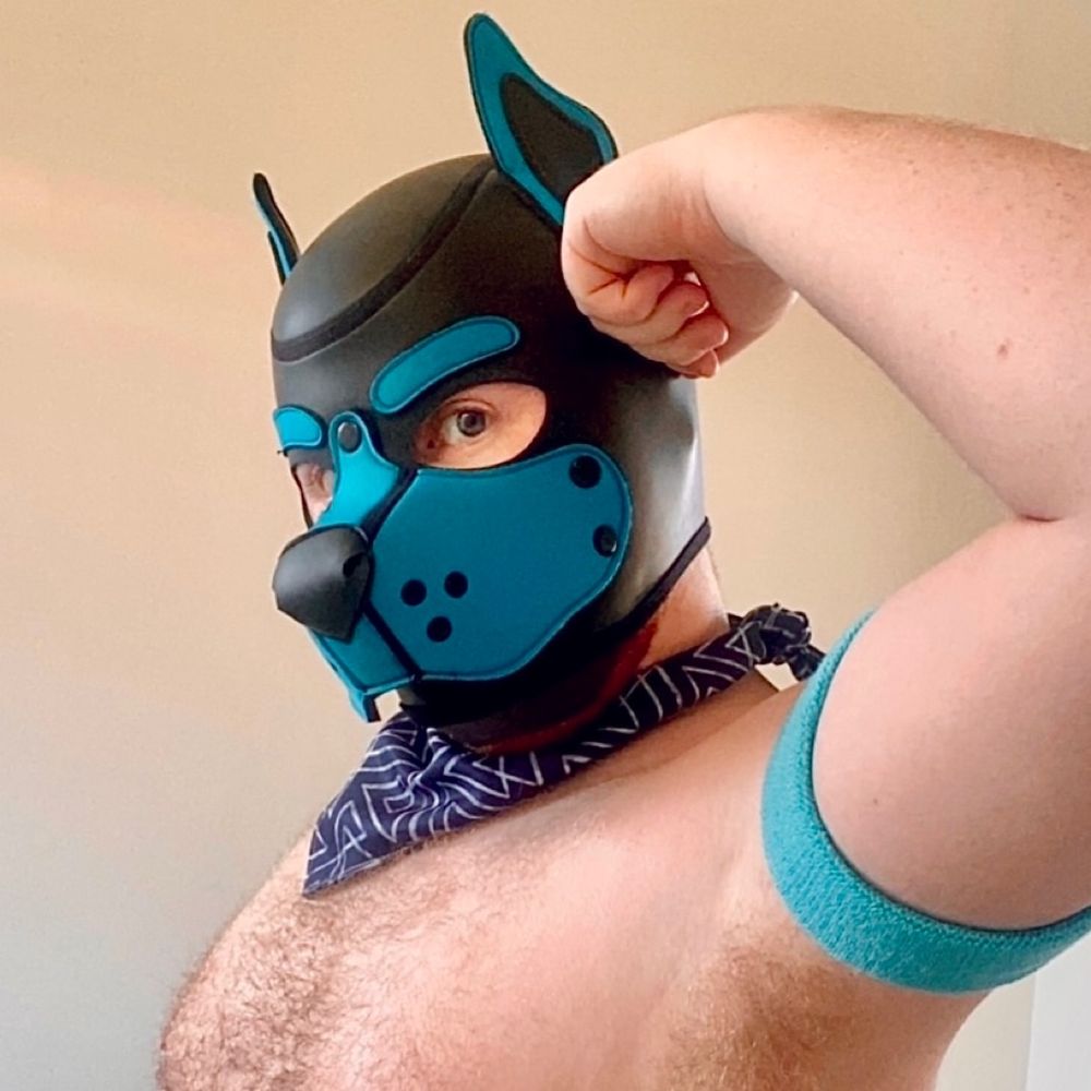 Pup 💧 Aqua