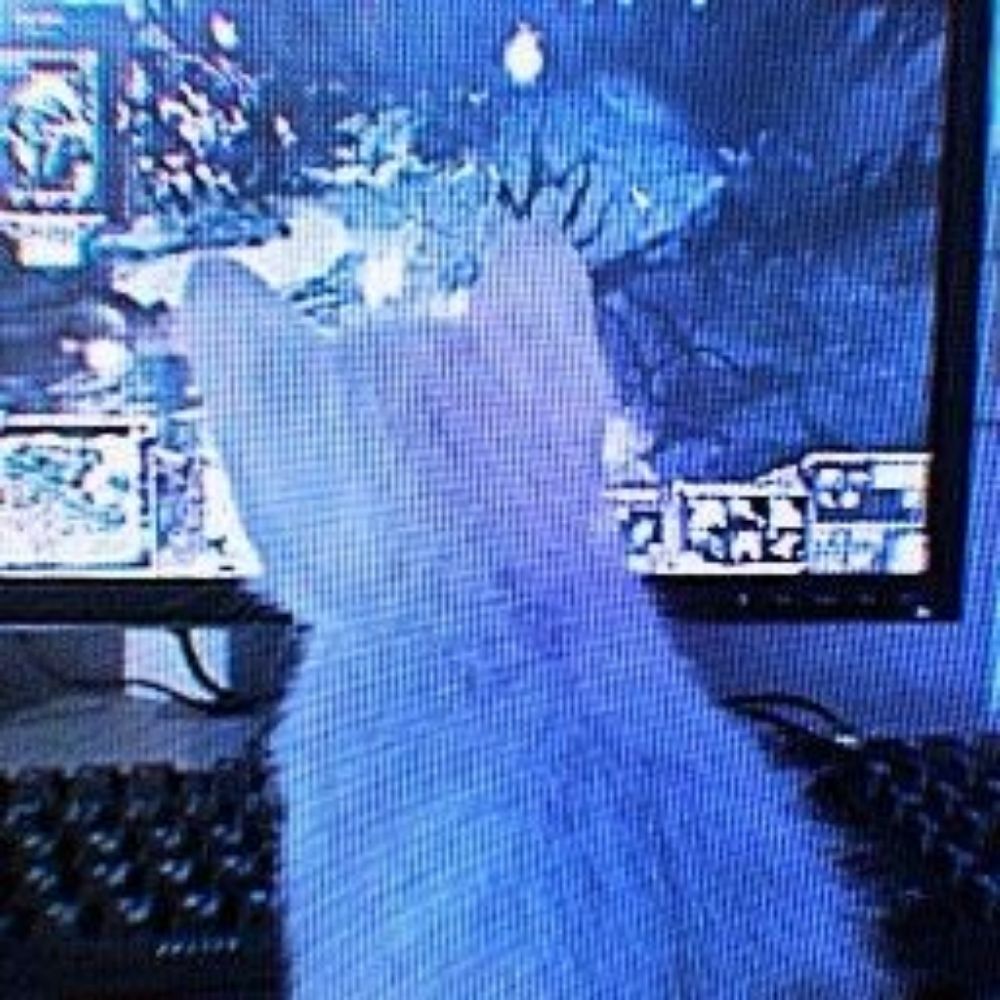 Glitch.fly 