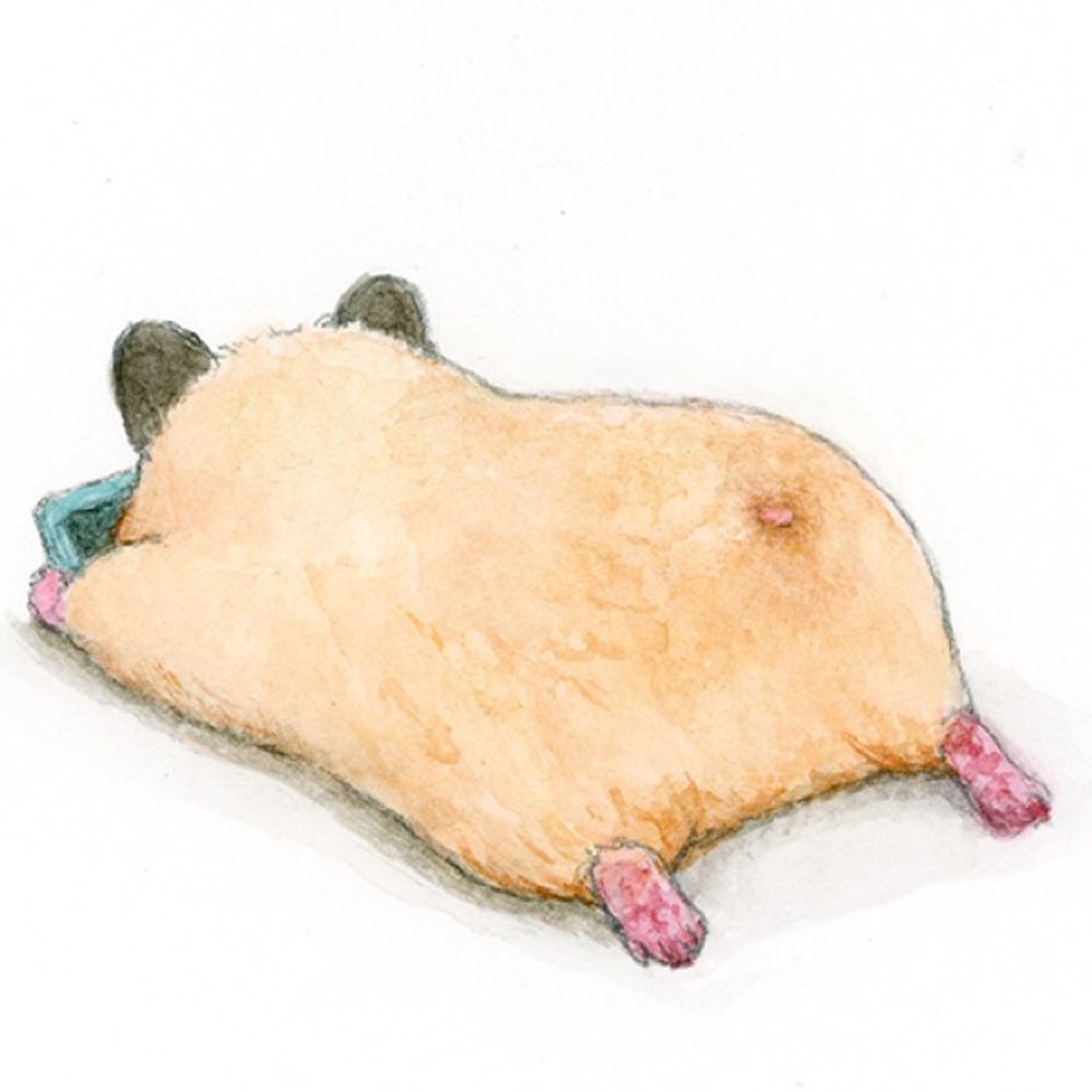 mimi