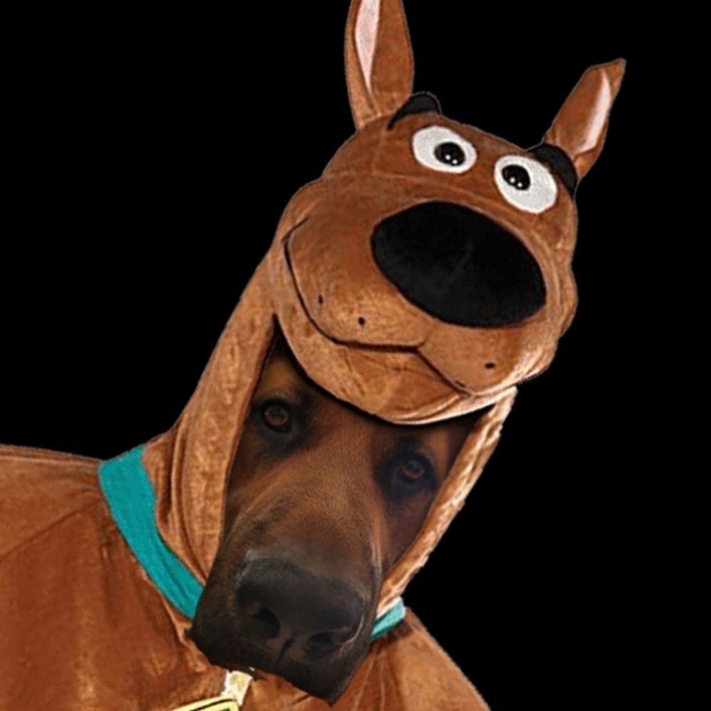 Scoobs