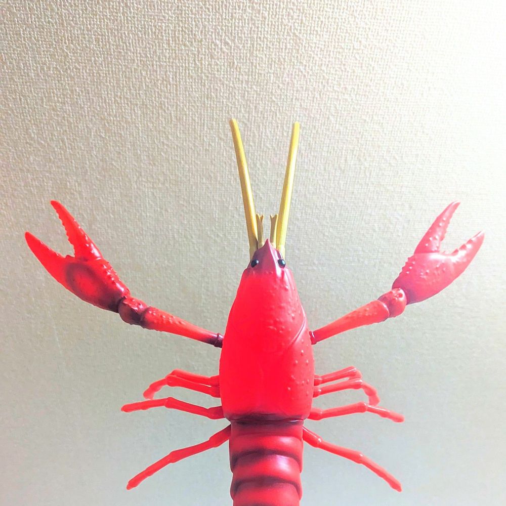 エビ🦐