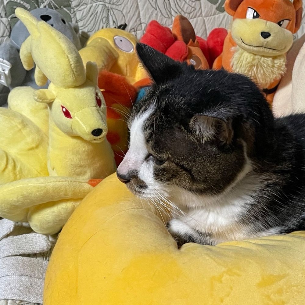 じゃこ明太そぼろ