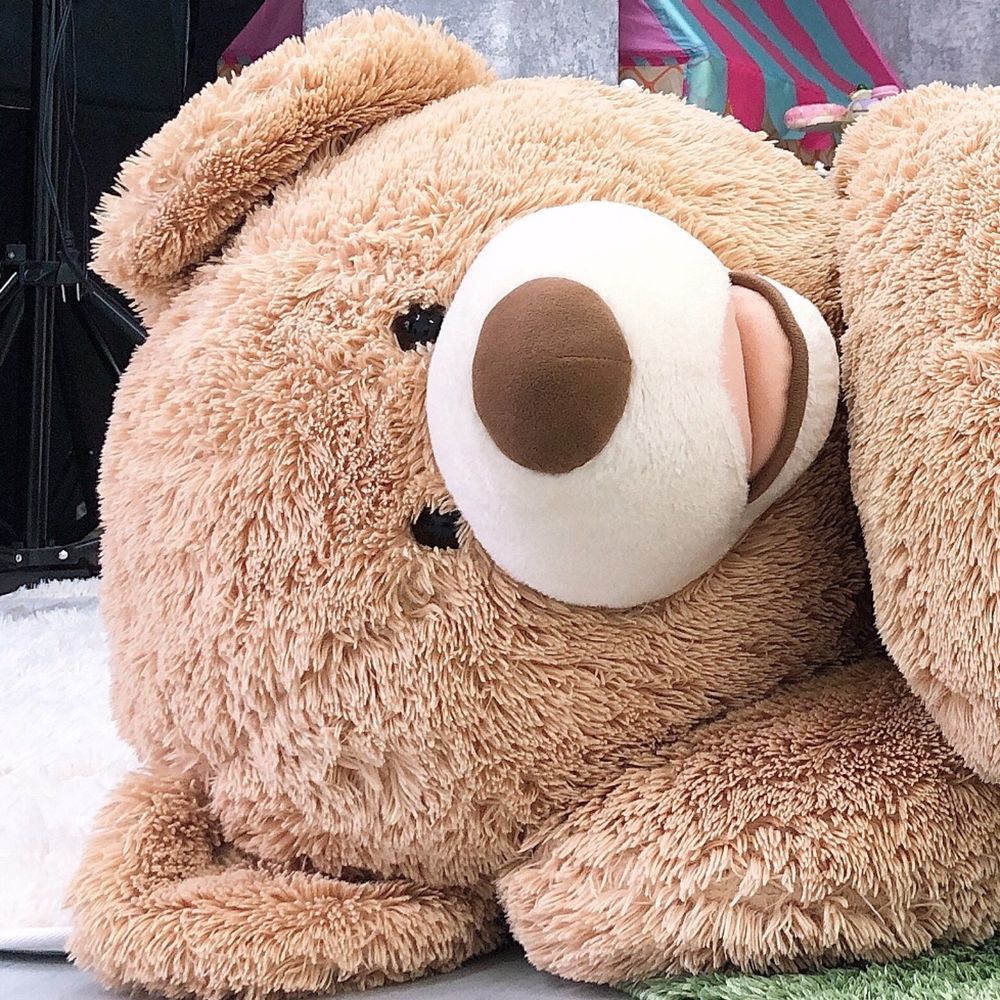 ちゃちゃ🧸