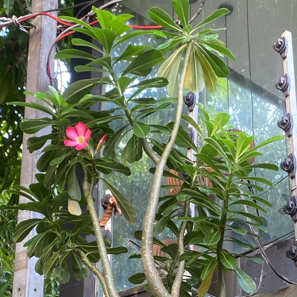 ivcontente.bsky.social