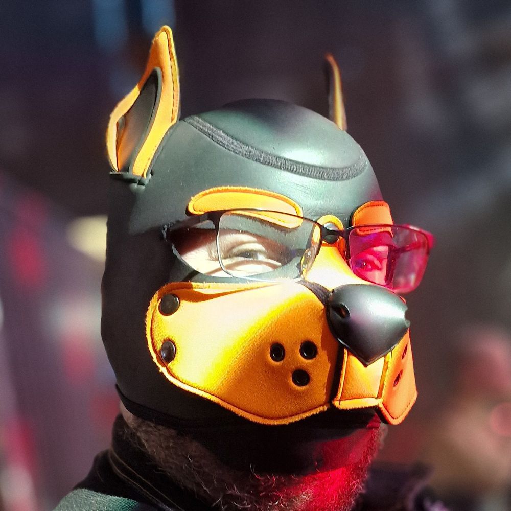 Argus Puppy