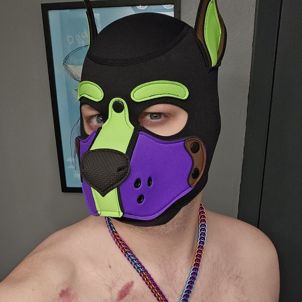 Beta Bravuro (After Bark)