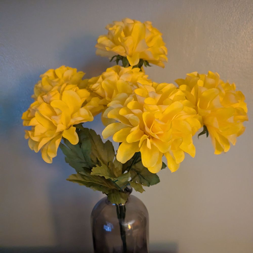 rweinhell.bsky.social profile picture