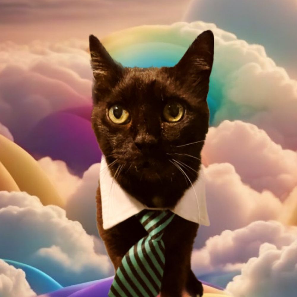 Die Katzlei's avatar
