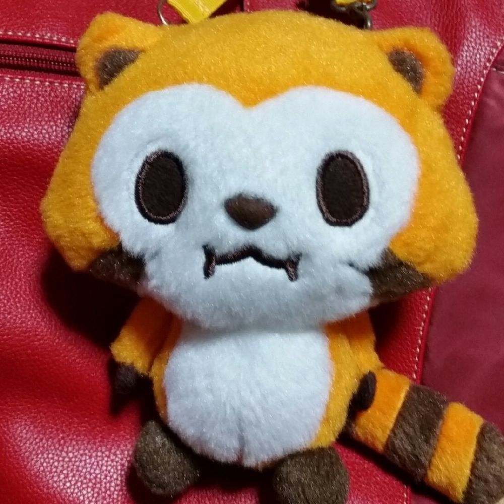 ゆうま🦝