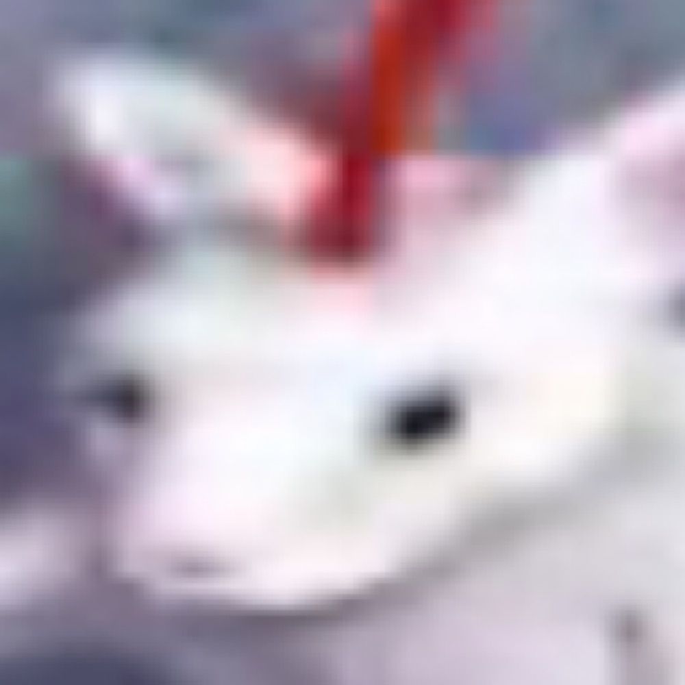 svell