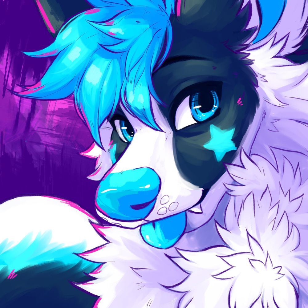 NovaFluffyHusky  🩵 🔜 MFF