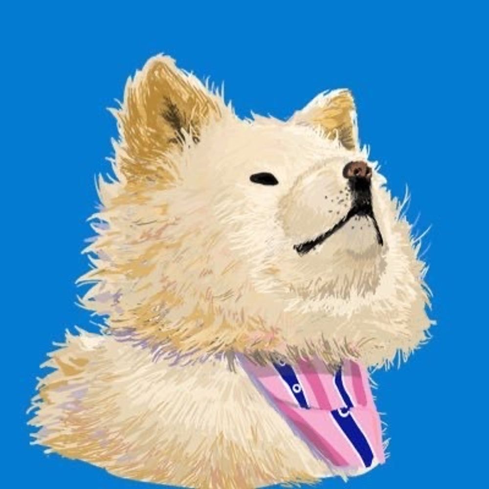 wasaɔ