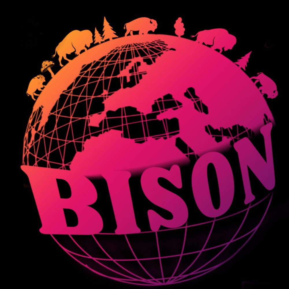Bisøn
