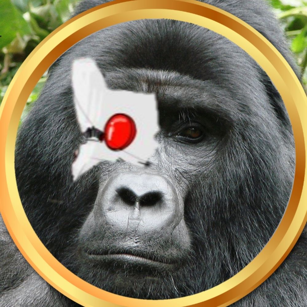 ⚙️Mr. Gorilla 2.0 ⚙️