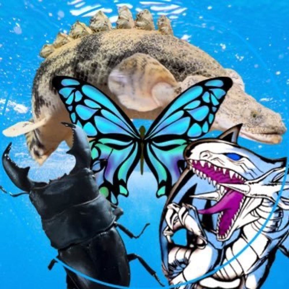ちょえ🦋